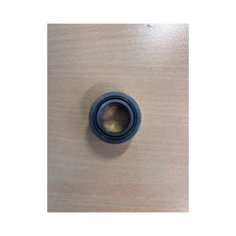 INA - NADELLAGER NA4903/C2